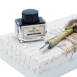 Dip Pen Set Writing Quill Feather Pen Ink Set with 6pcs Nibs Calligraphy Pen in Gift Box HO-Q-302